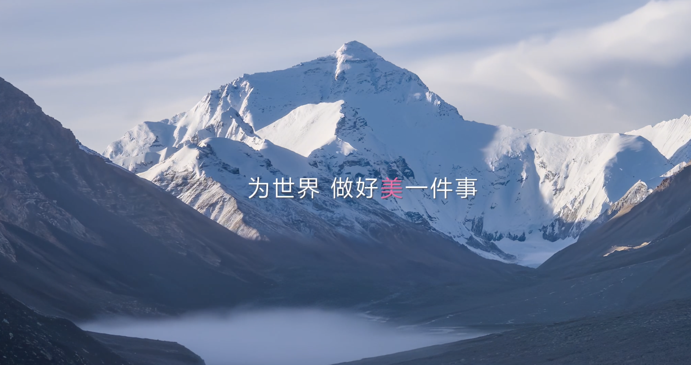 CHANDO Group 25th Anniversary Corporate Film